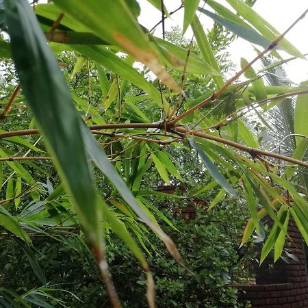 Purity Guest House Auroville Exterior foto