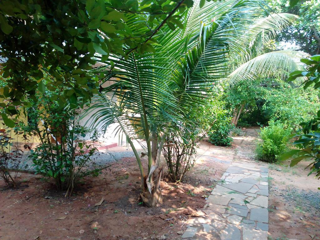 Purity Guest House Auroville Exterior foto