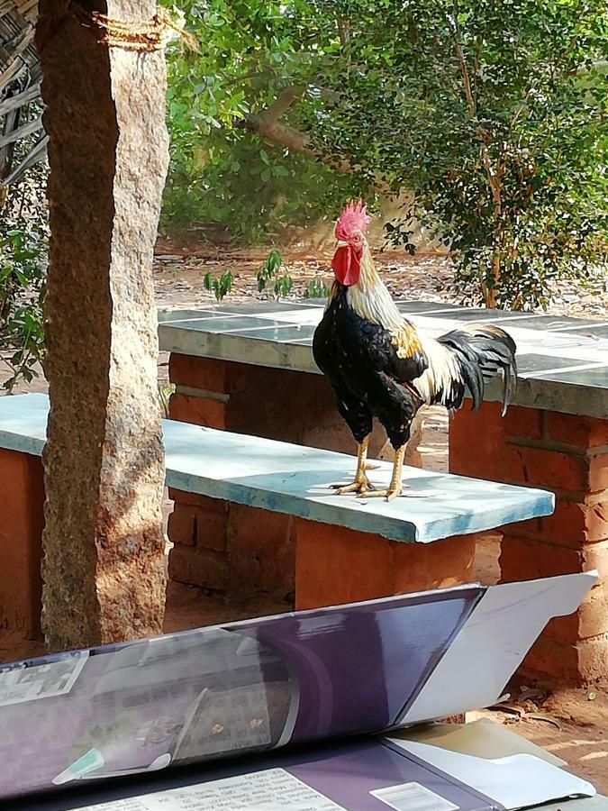 Purity Guest House Auroville Exterior foto